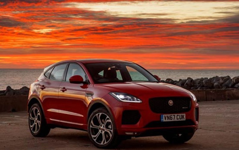 Jaguar undefined image