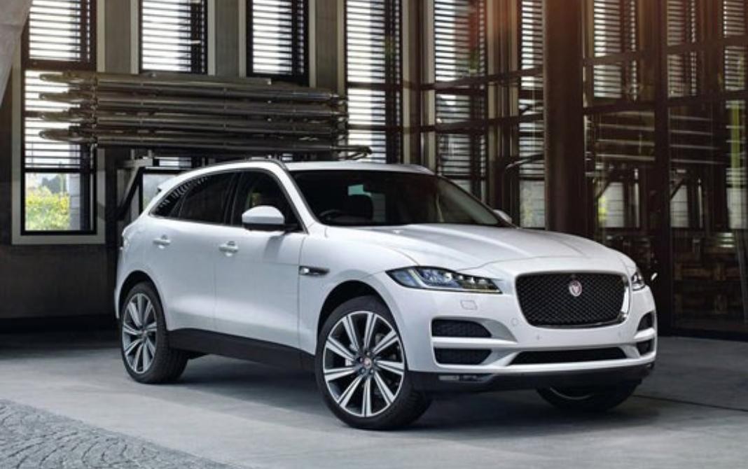 Jaguar undefined image