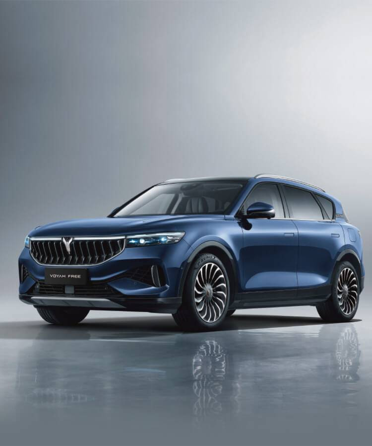 Dongfeng undefined image